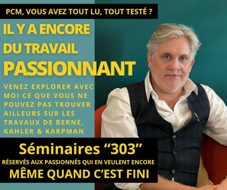 Affiche Séminaire VIP « 303 » PCM – Paris, février 2025